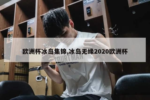 欧洲杯冰岛集锦,冰岛无缘2020欧洲杯